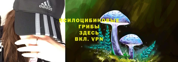 бутират Пересвет