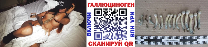Галлюциногенные грибы мицелий  Котельниково 